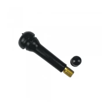 xx_valvula-de-borracha-para-pneus-sem-camara-tr-418-com-100-pec-f2e45f0d11f6fdd673ad6150da5eb894.webp